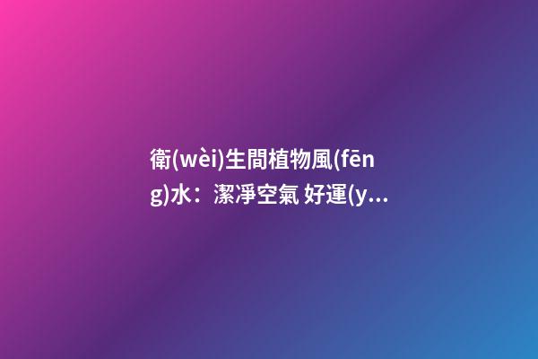 衛(wèi)生間植物風(fēng)水：潔凈空氣 好運(yùn)氣